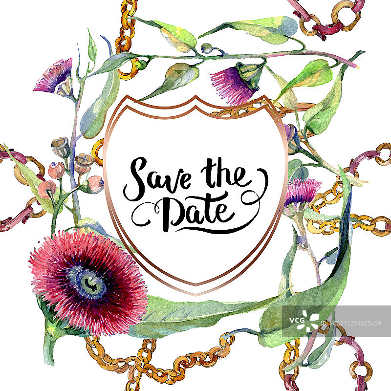 红色桉树植物花卉水彩背景插图。边框装饰方块图片素材