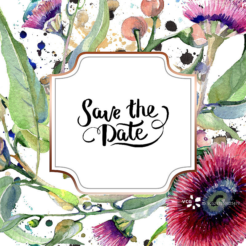 红色桉树植物花卉水彩背景插图。边框装饰方块图片素材