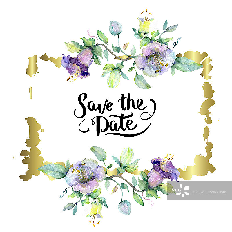 花束，植物花。水彩背景插图集。边框装饰方形。图片素材