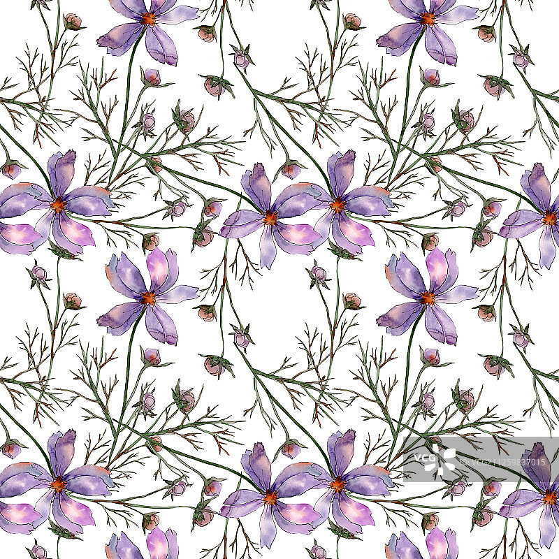 波斯菊花卉水彩背景图案图片素材