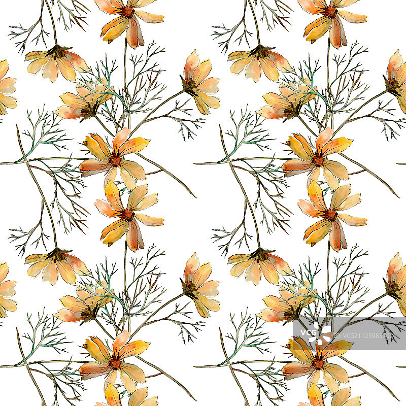 波斯菊花卉水彩背景图案图片素材