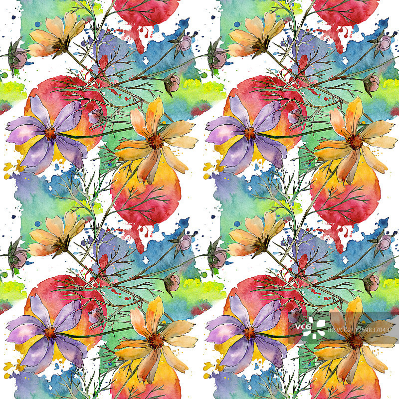 波斯菊花卉水彩背景图案图片素材
