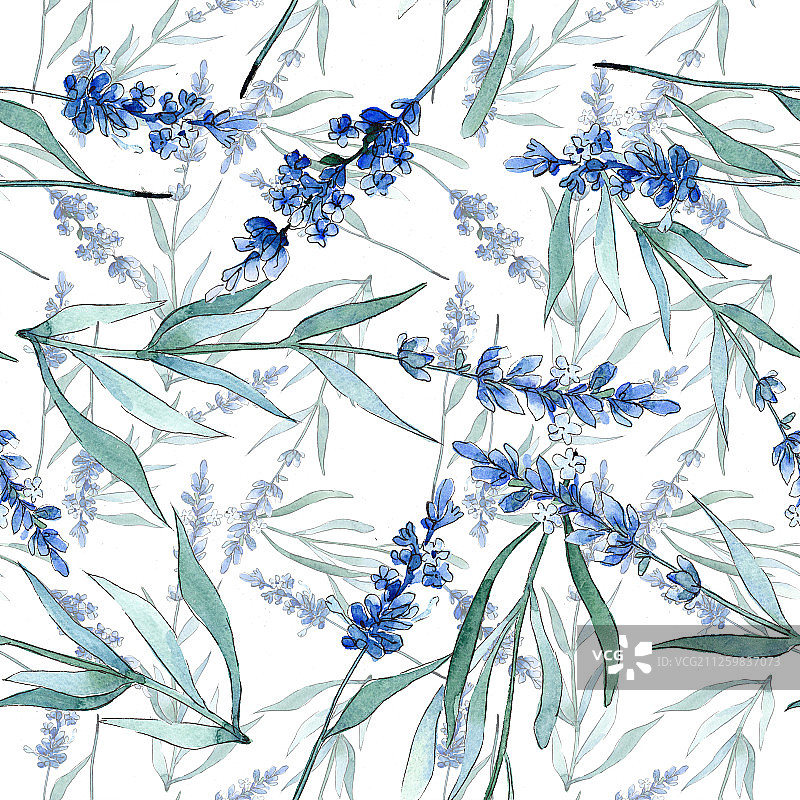 蓝色薰衣草花卉植物水彩背景插画，无缝背景图案图片素材