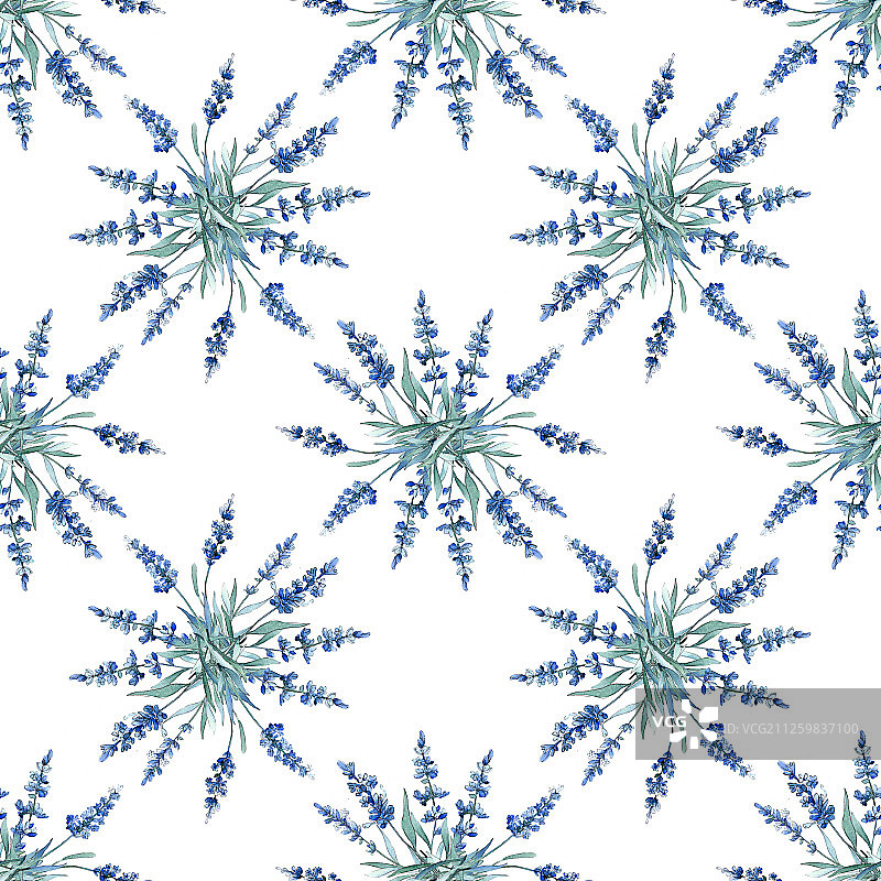 蓝色薰衣草花卉植物水彩背景插画，无缝背景图案图片素材