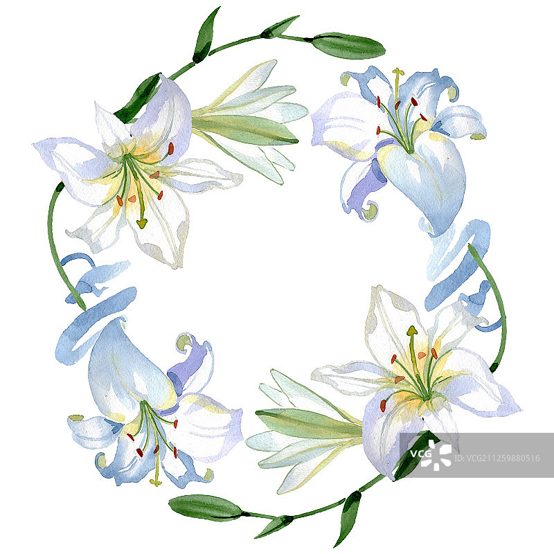 白色百合花卉植物水彩背景边框图片素材