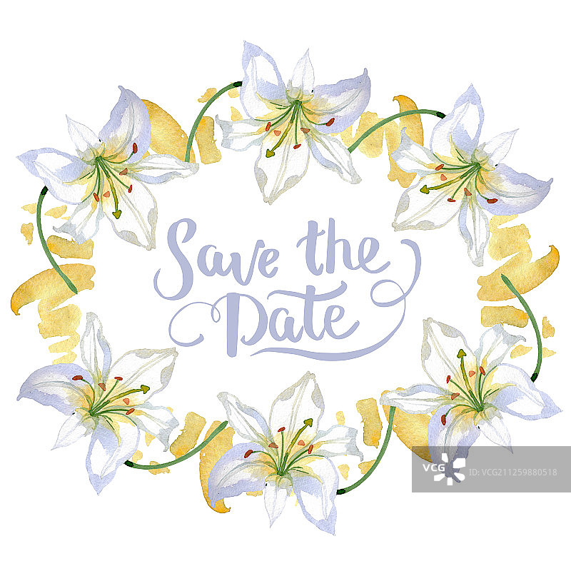 白色百合花卉植物水彩背景边框图片素材