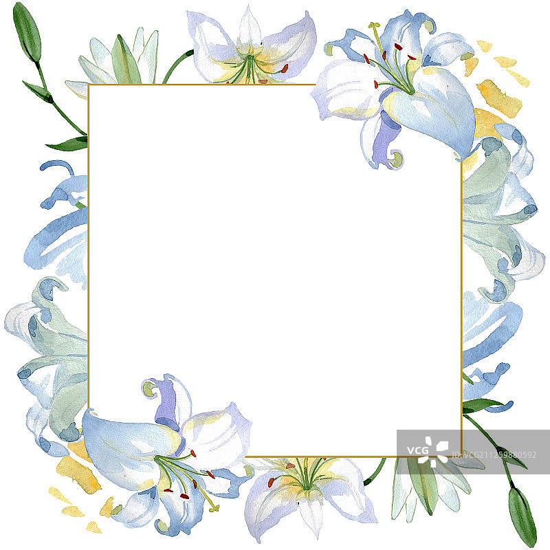 白色百合花卉植物水彩背景边框图片素材