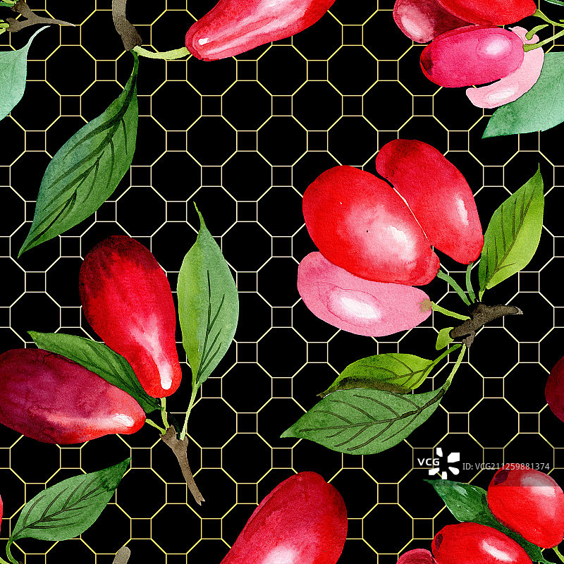 山茱萸红色果实和绿色叶子水彩背景插图图片素材