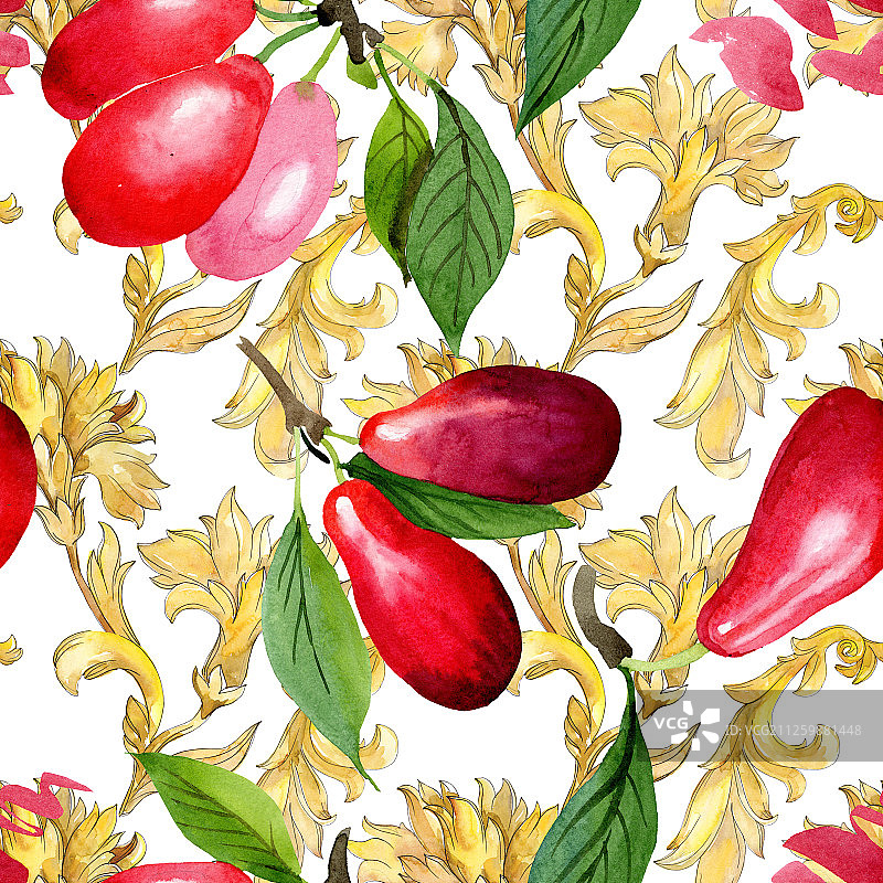 山茱萸红色果实和绿色叶子水彩背景插图图片素材