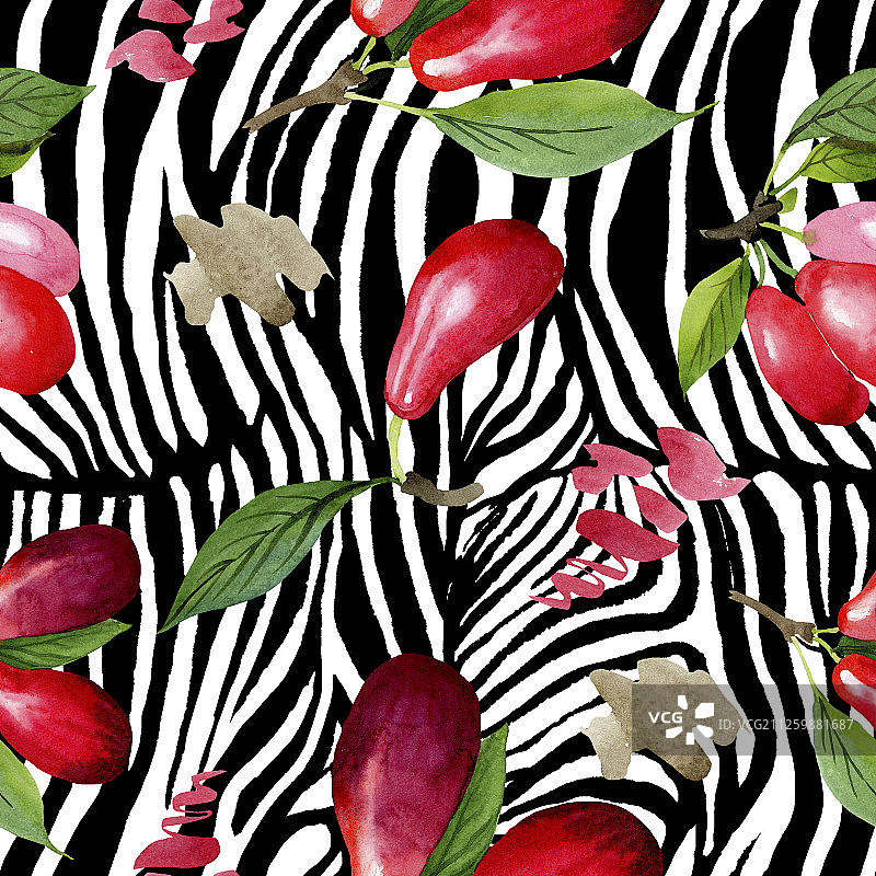 山茱萸红色果实和绿色叶子水彩背景插图图片素材