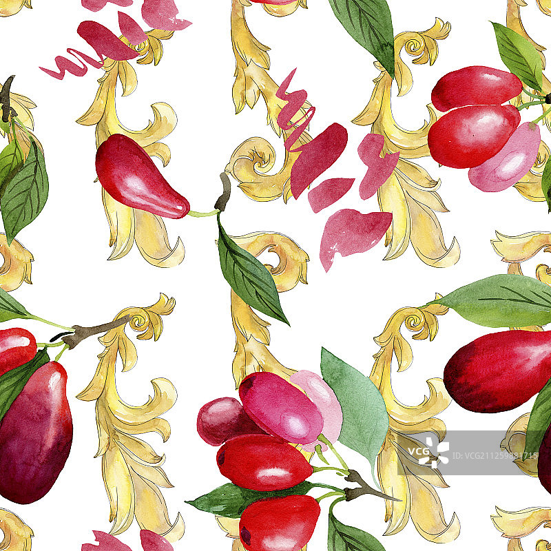 山茱萸红色果实和绿色叶子水彩背景插图图片素材