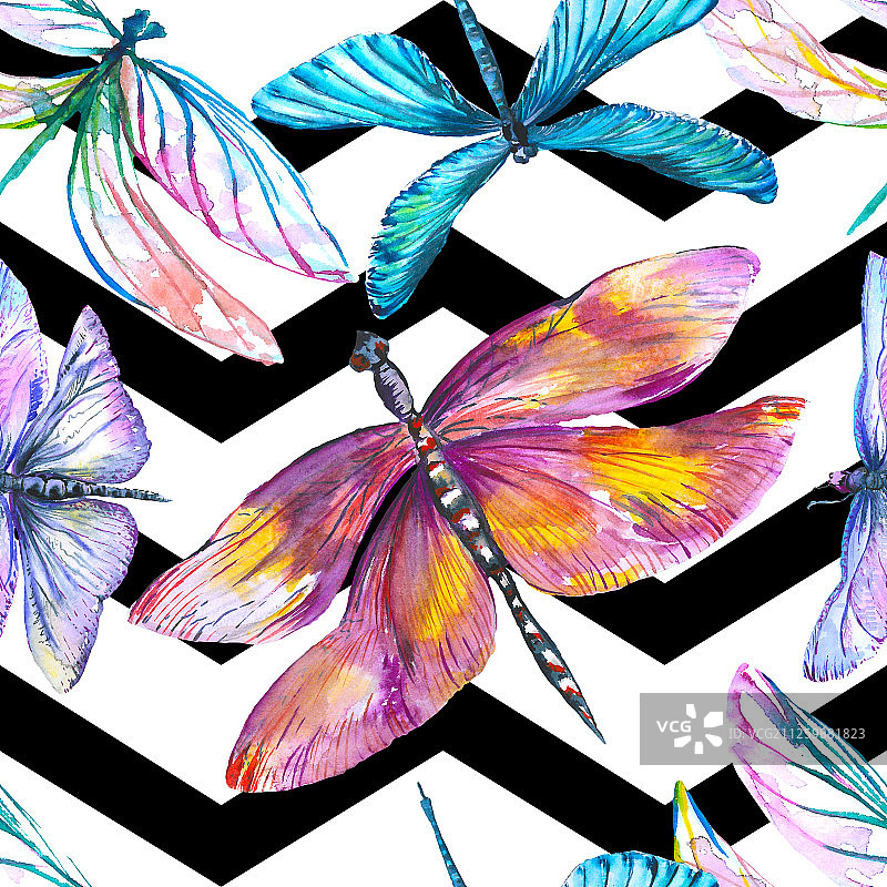 异国情调的蜻蜓野生昆虫。水彩背景插图集。无缝背景图案。图片素材