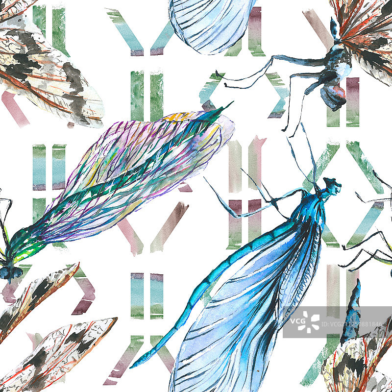 异国情调的蜻蜓野生昆虫。水彩背景插图集。无缝背景图案。图片素材