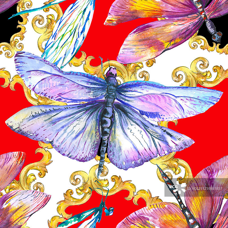 异国情调的蜻蜓野生昆虫。水彩背景插图集。无缝背景图案。图片素材