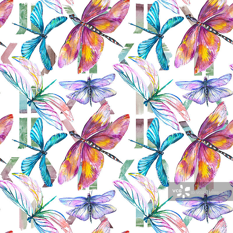 异国情调的蜻蜓野生昆虫。水彩背景插图集。无缝背景图案。图片素材