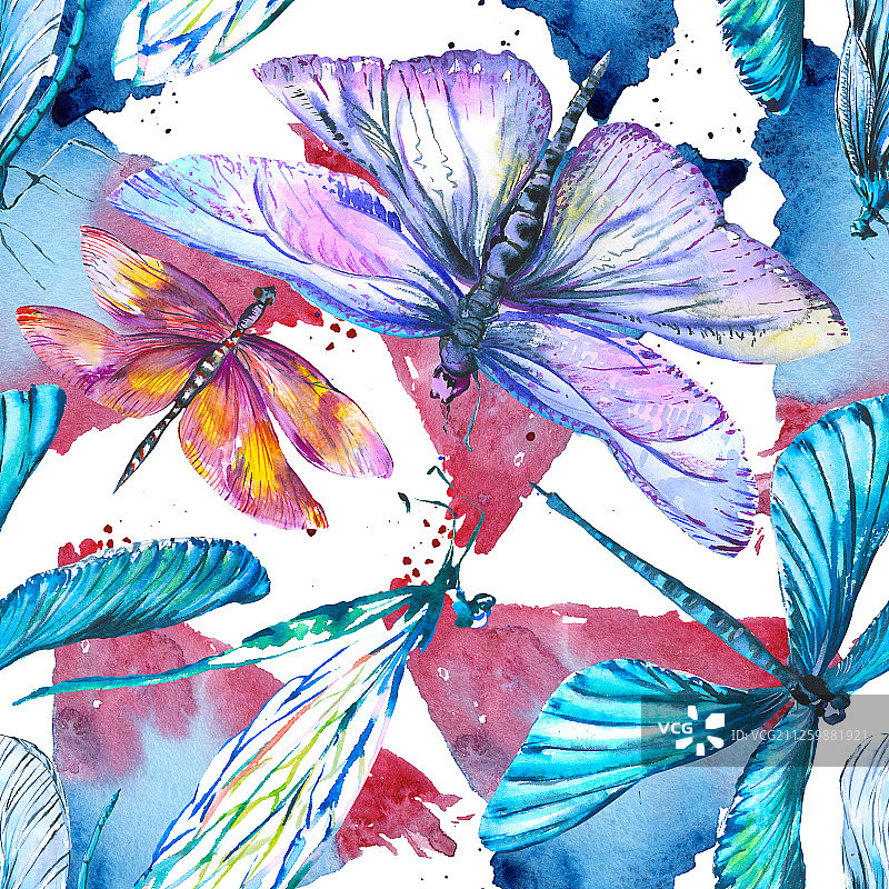 异国情调的蜻蜓野生昆虫。水彩背景插图集。无缝背景图案。图片素材