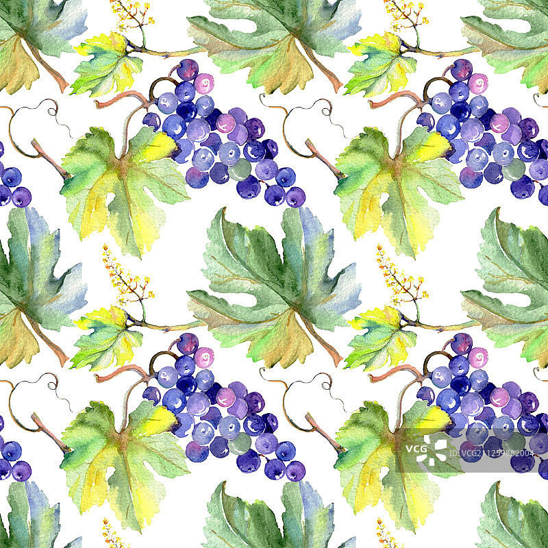 水彩风格的葡萄浆果健康食品水彩背景无缝背景图案图片素材