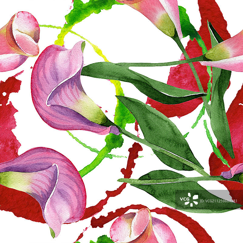 粉色海芋花卉植物花朵，水彩背景插图集，无缝背景图案图片素材