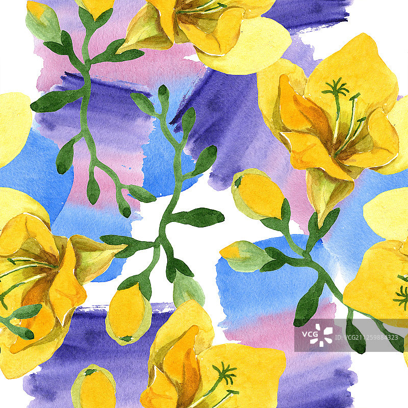 黄色小苍兰植物花卉，水彩背景插图，无缝背景图案图片素材
