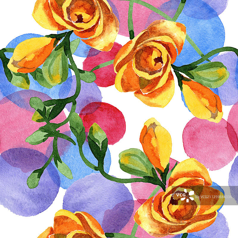 黄色小苍兰植物花卉，水彩背景插图，无缝背景图案图片素材