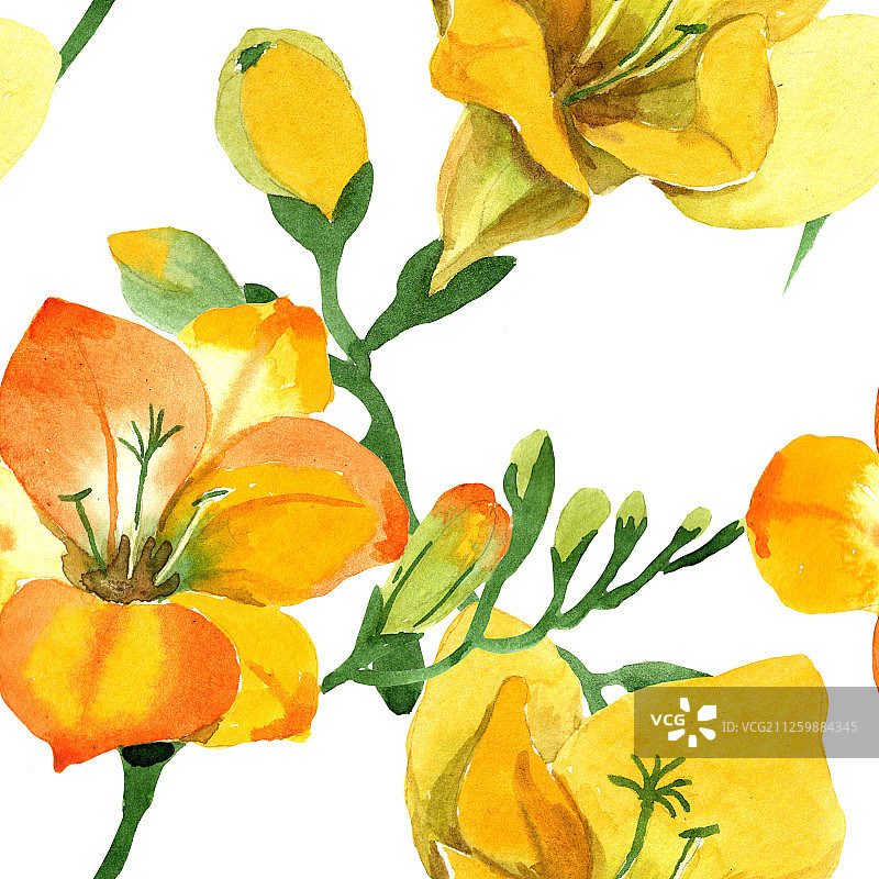 黄色小苍兰植物花卉，水彩背景插图，无缝背景图案图片素材
