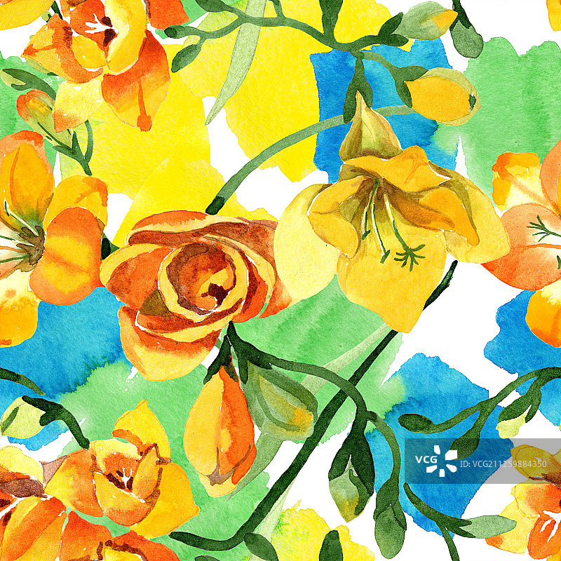 黄色小苍兰植物花卉，水彩背景插图，无缝背景图案图片素材