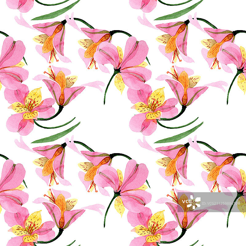 粉色六出花植物花卉，水彩背景图案，无缝背景图片素材