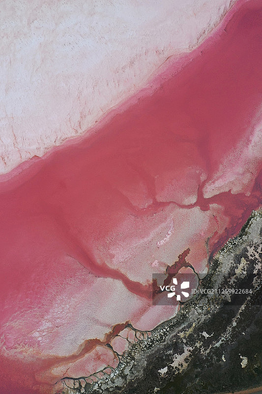 粉红湖自然风光图片素材