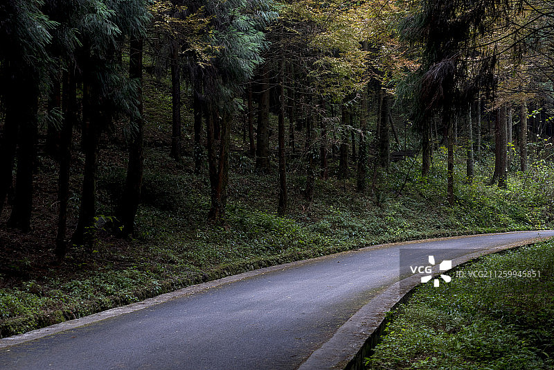 重庆山王坪喀斯特森林公路图片素材