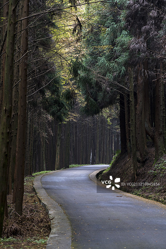 重庆山王坪喀斯特森林公路图片素材
