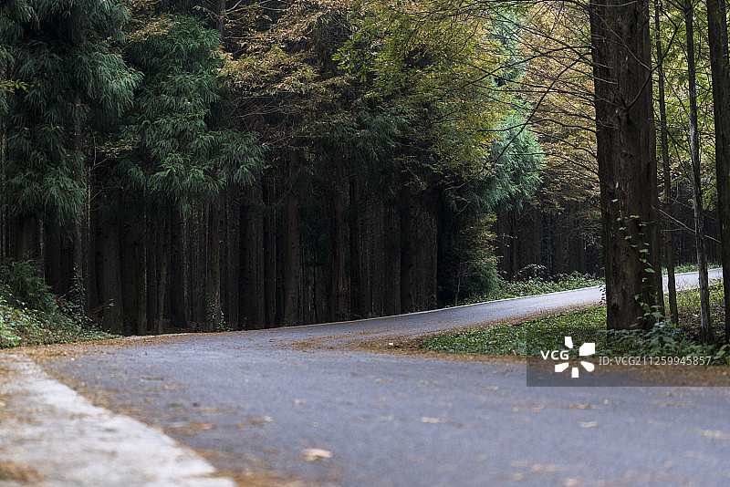 重庆山王坪喀斯特森林公路图片素材