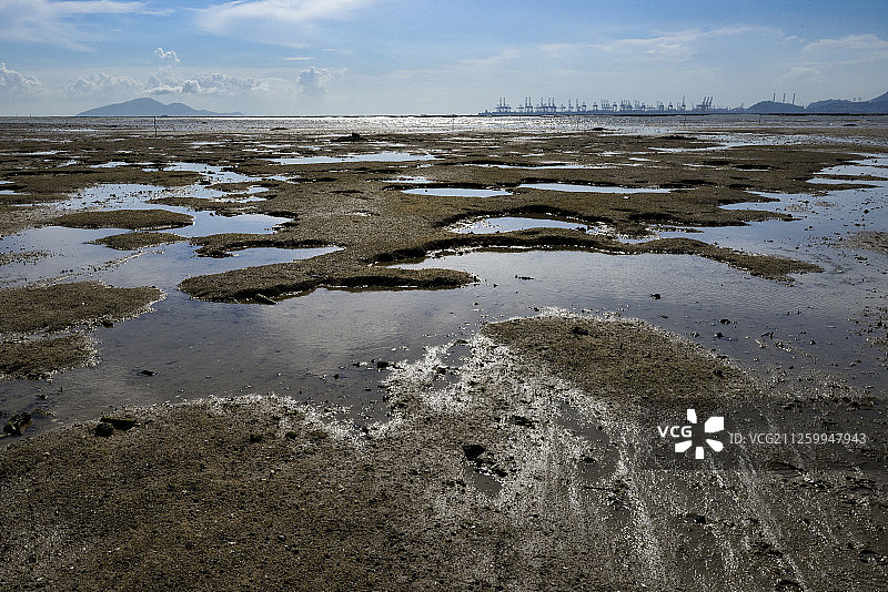中国香港新界元朗区下白泥面向深圳湾图片素材