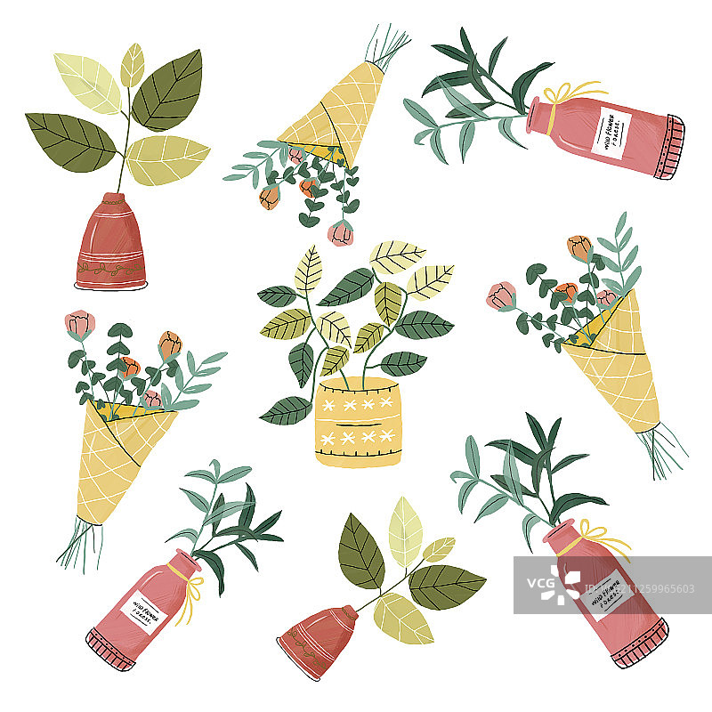 花和植物图片素材