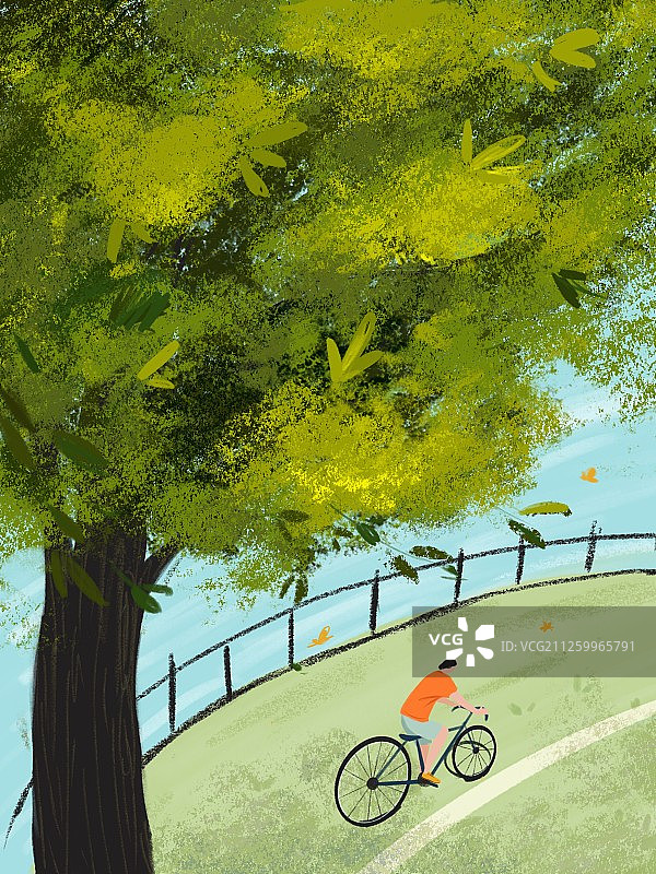 舒适的天气绿色的骑行图片素材