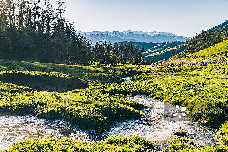 新疆喀纳斯风光图片素材