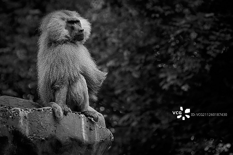 观察点图片素材