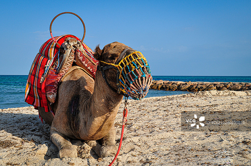 杰尔巴岛图片素材