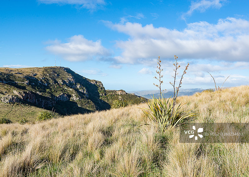 芒特普莱森特图片素材