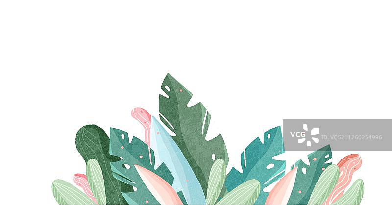 植物元素图片素材