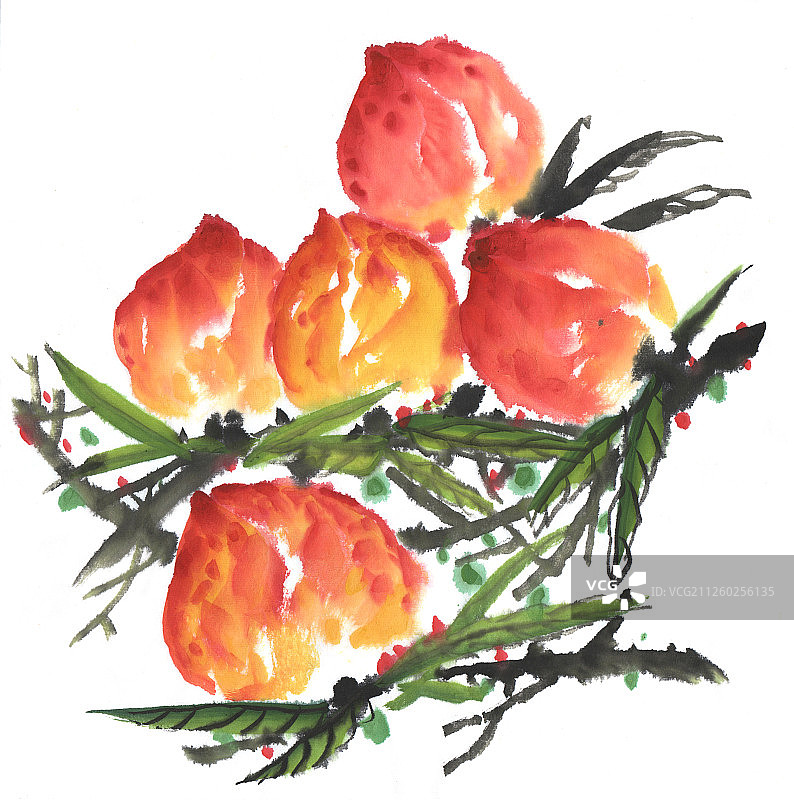 国画水墨插画-树上水蜜桃寿桃图片素材