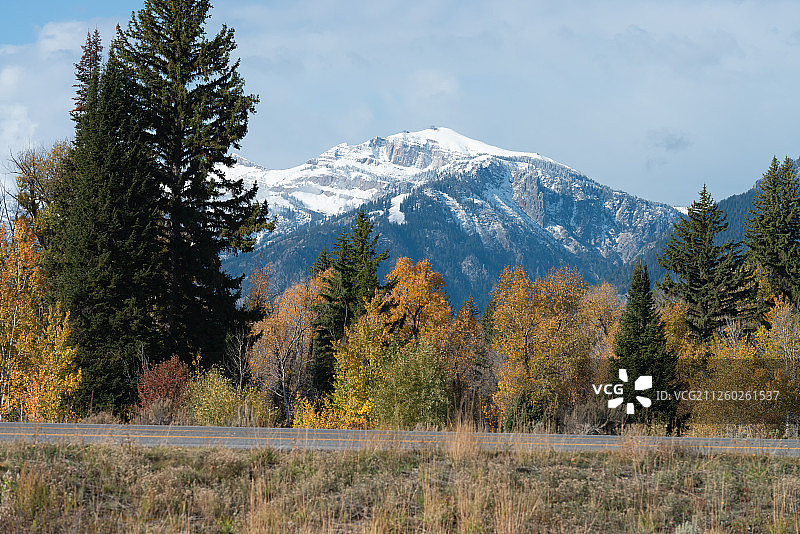 美国怀俄明州杰克逊霍尔雪景图片素材