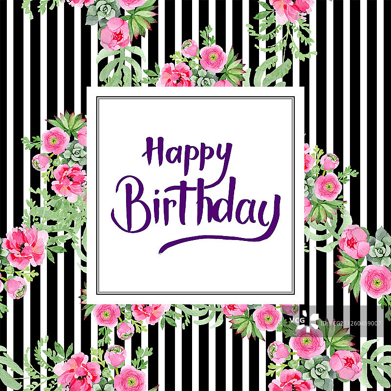 粉色毛茛花卉植物花朵水彩背景插图，边框装饰方块图片素材