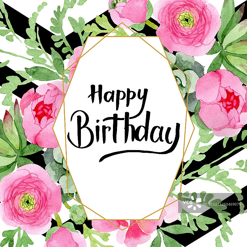 粉色毛茛花卉植物花朵水彩背景插图，边框装饰方块图片素材