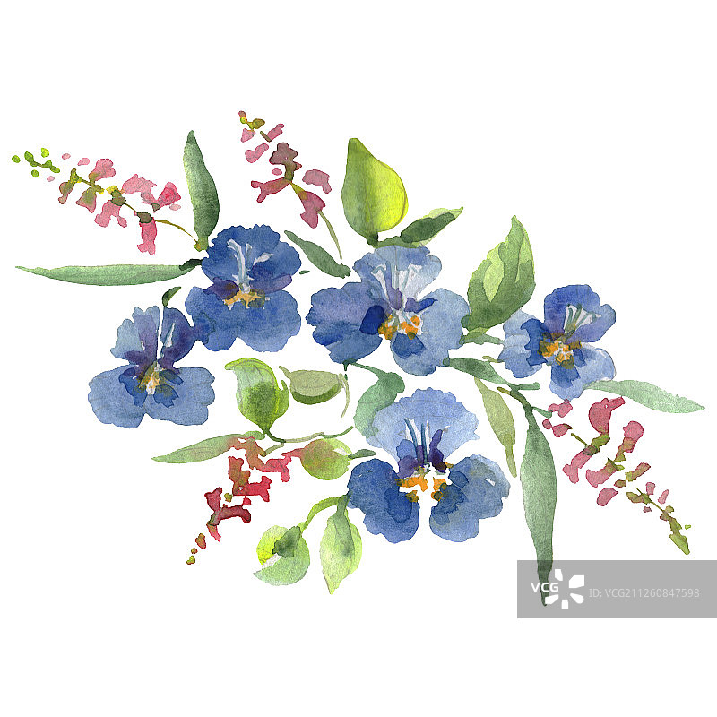 花束，植物花。水彩背景插图集。孤立的花束插图元素。图片素材