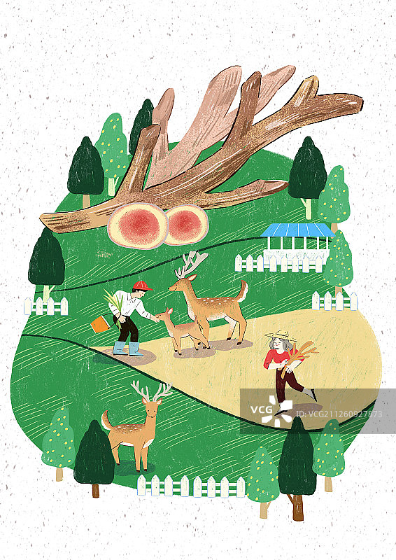 新鲜食材丰收季插画：蔬菜、水果、鱼、肉等图片素材