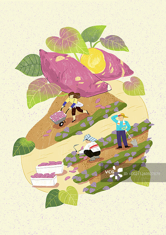 新鲜食材丰收季插画：蔬菜、水果、鱼、肉等图片素材