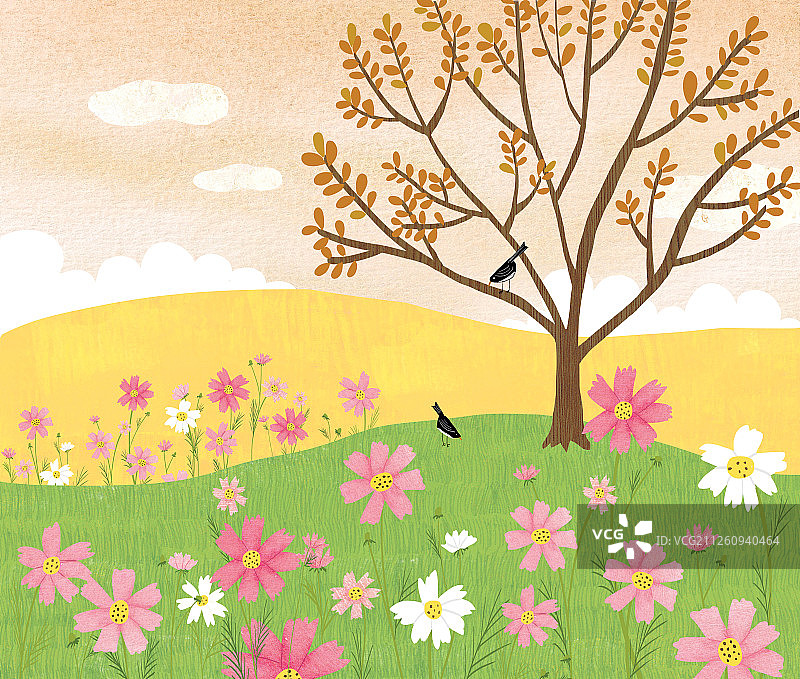 秋季、景观、自然景观图片素材