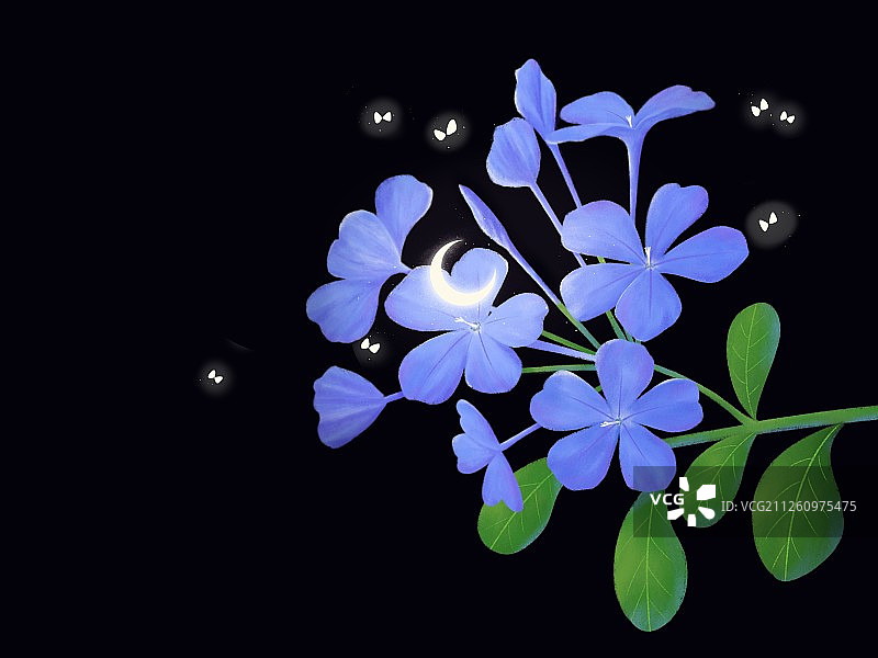 蓝雪花图片素材