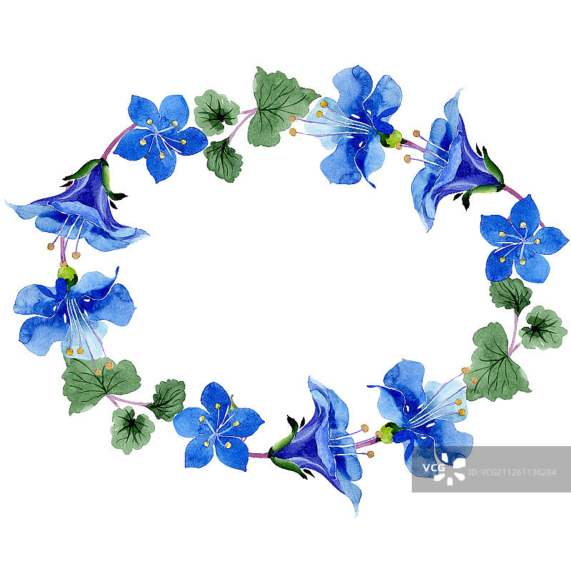 蓝色法赛丽花，绿色叶子野花，水彩背景插图花环图片素材