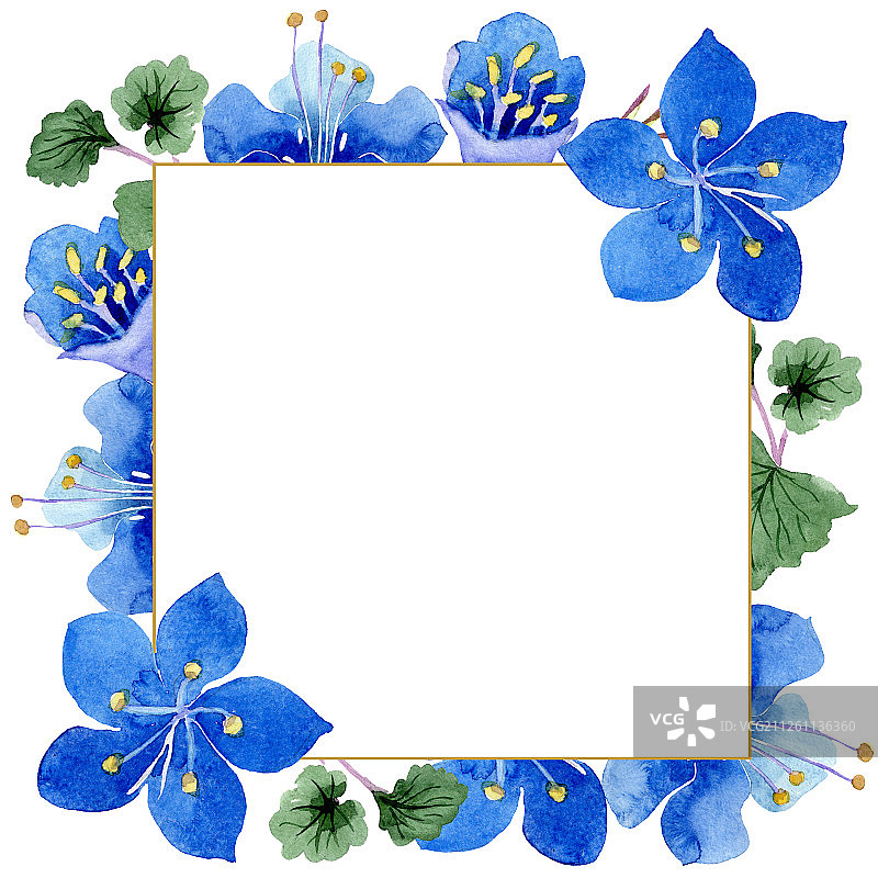 蓝色法赛丽花，绿色叶子野花，水彩背景插图集，花卉方形框架图片素材